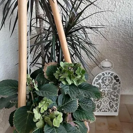 Suiteviewporos Appartamento *