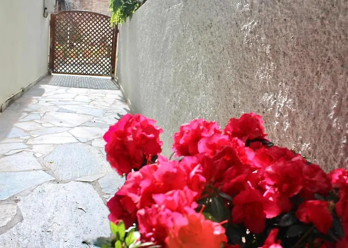 Suiteviewporos Galatás